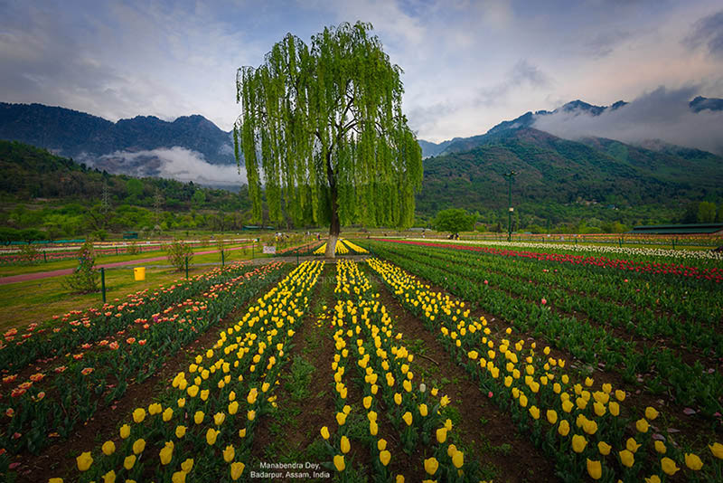 deep depth-of-field for landscape with small aperture