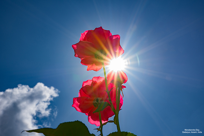 Sunburst effect in photography